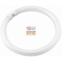 NEON CIRCULAR BLINKY T9 ALB 32W-2100LM