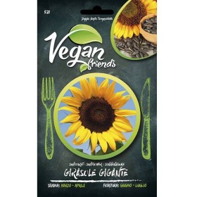 VEGAN FRIEND SEMI DI GIRASOLE GIGANTE PER LA CUCINA VEGANA VEGAN FRIEND SEMI DI GIRASOLE GIGANTE PER LA CUCINA VEGANA