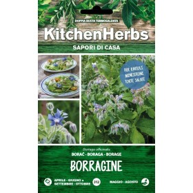 KITCHEN HERBS SEMI DI BORRAGINE KITCHEN HERBS SEMI DI BORRAGINE