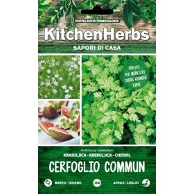 KITCHEN HERBS SEMI DI CERFOGLIO COMMUN KITCHEN HERBS SEMI DI CERFOGLIO COMMUN