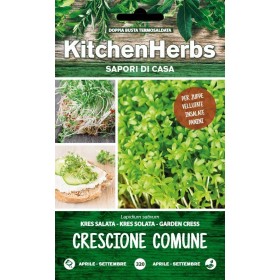 KITCHEN HERBS SEMI DI CRESCIONE COMUNE KITCHEN HERBS SEMI DI CRESCIONE COMUNE