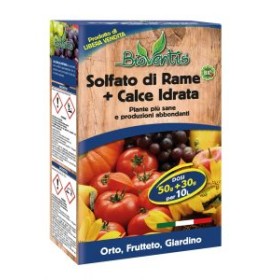 BIOVENTIS DT SOLFATO DI RAME CON CALCE IDRATA GT. 500