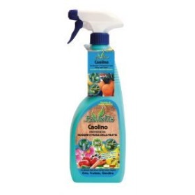 BIOVENTIS SPRAY CAOLIN PROTECȚIE DELLȘI APĂRARE ML PLANTE. 550