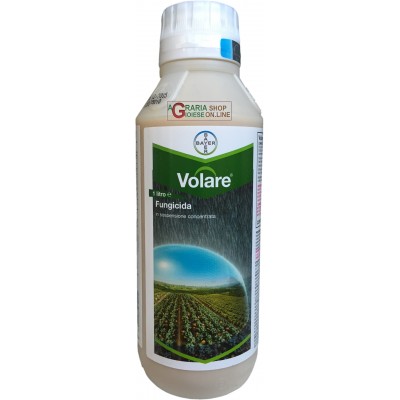 BAYER VOLARE FUNGICID SISTEMATICĂ BAZATĂ PE FLUOPICOLIDĂ ȘI