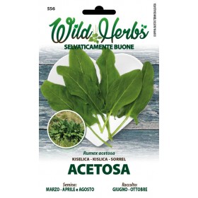 WILD HERBS SEMI DI ACETOSA WILD HERBS SEMI DI ACETOSA