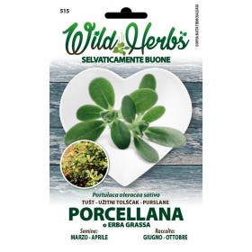 IERBURI SĂLBATICE SEMINȚE DE PORȚELAN SAU IARBĂ DE IARBĂ