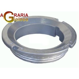 inel FPL PENTRU MORI DE TOMATE LA BANCHETUL N. 5