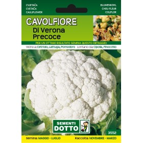 SEMI DI CAVOLFIORE DI VERONA PRECOCE