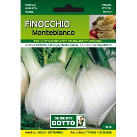 SEMI DI FINOCCHIO MONTEBIANCO