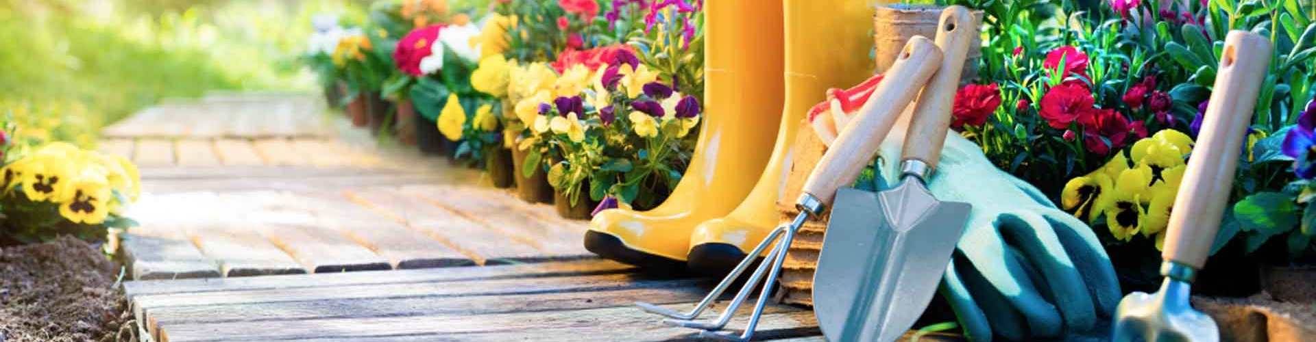 DeCariaShop DeCariaShop